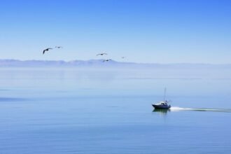 A serene landscape of the Great Salt Lake with a few birds flying in the distance, and a small boat in the foreground, symbolizing the intersection of nature and human exploration.