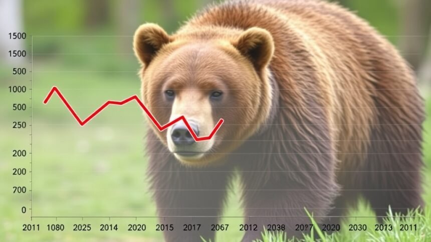 A graph showing the decline of Sensex and Nifty over a period of time, with a bear in the background, symbolizing the bear market.