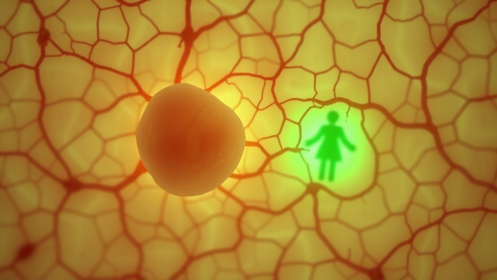 A microscopic image of testicular tissue with a subtle green glow, representing regeneration and new life, with a faint background of a man and a woman holding hands, symbolizing hope and fertility.